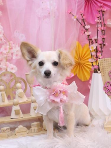 20250327めるちゃん